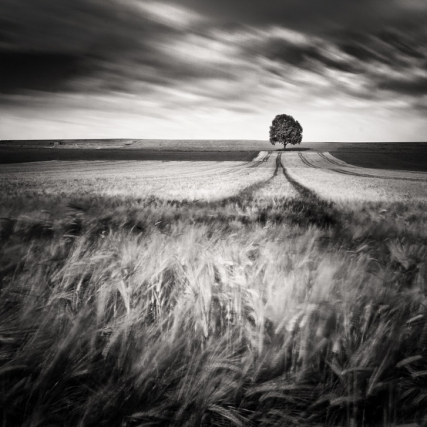 Photograph Uwe Langmann July Winds Ii on One Eyeland
